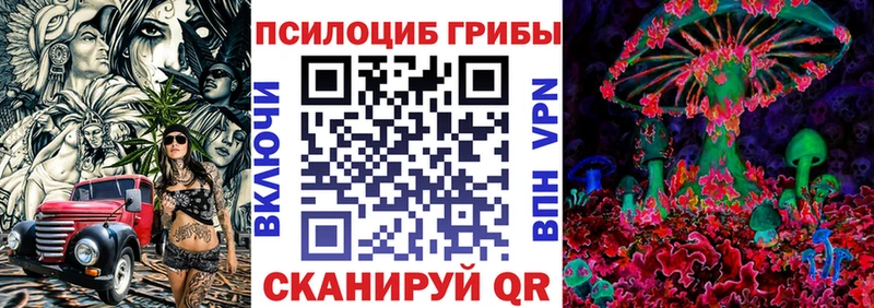 Галлюциногенные грибы Cubensis  Бабаево 